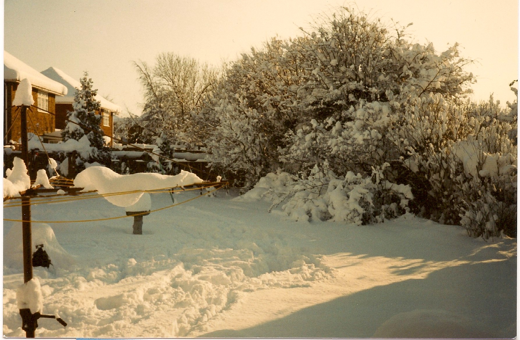Snow in the garden of 27 Wigmore Road in 1987